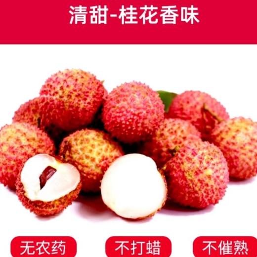 桂味荔枝（约500G） ☆/份 商品图1