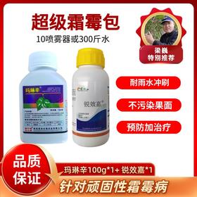 超级霜霉包  一套10喷雾器