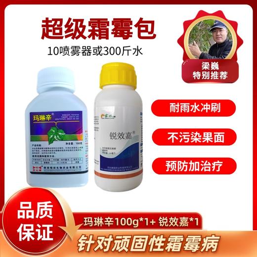 超级霜霉包  一套10喷雾器 商品图0