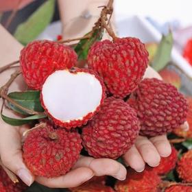 荔枝王（约500G） /份