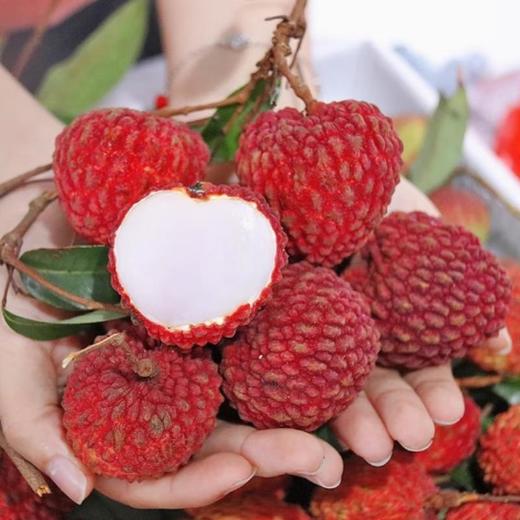 荔枝王（约500G） /份 商品图0