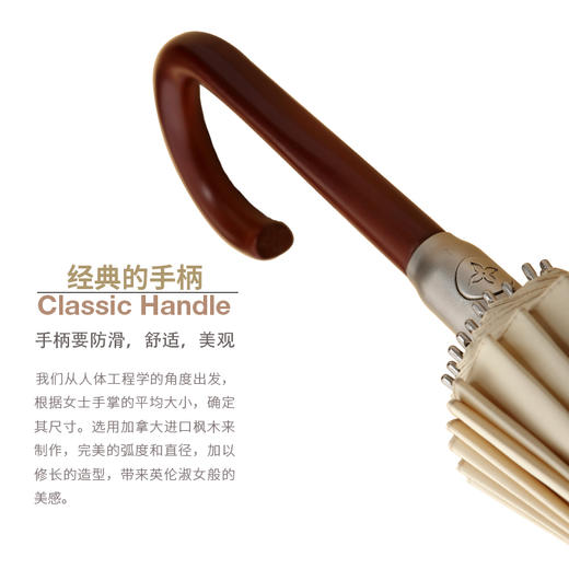 枫丹白露 24骨直骨自动抗风女士经典伞 商品图5