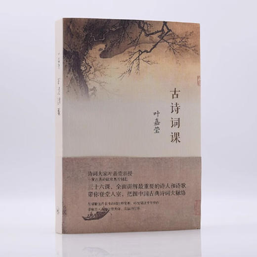 古诗词课 叶嘉莹 著 全面讲解中国古诗词  三联书店 商品图3