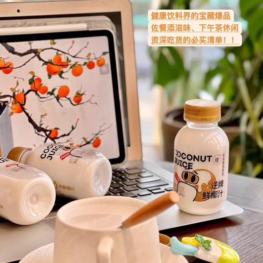 【秒杀】逆牌鲜椰汁246g*10瓶 商品图2