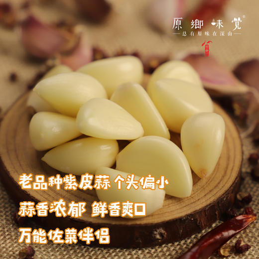 生态老品种紫皮蒜【原乡单发-顺丰包邮】2斤装/4斤装，来自四川峨眉山市，生产者：张书华【原乡峨眉山基地】 商品图2