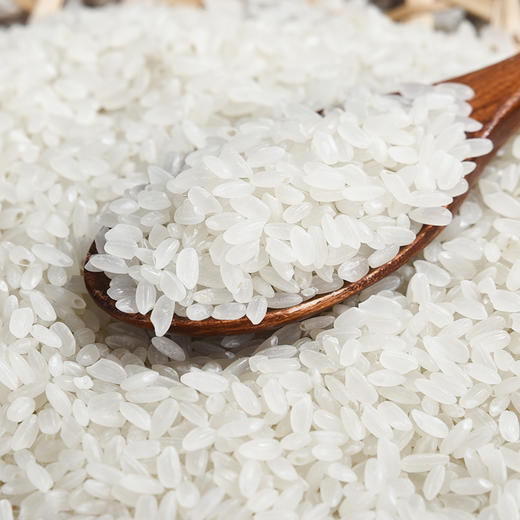 稻之金有机五常大米5KG 商品图3