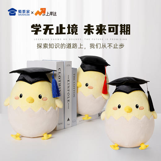 【毕业蛋公仔（可定制）】创意毛绒公仔摆件毕业送礼礼品礼物 商品图2