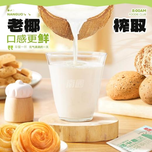  南国纯椰子粉308g/袋 海南特产椰汁粉 生椰拿铁咖啡伴侣 商品图3