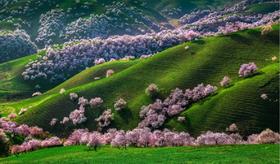 十大系列 | 春天去哪儿？中国“十大”户外看花线路推荐