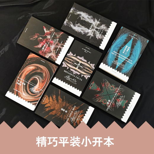 爱伦·坡小说全集（全7册）| 译林出版社权威出版，一次收齐推理小说之父、侦探小说鼻祖5大类型小说 商品图3