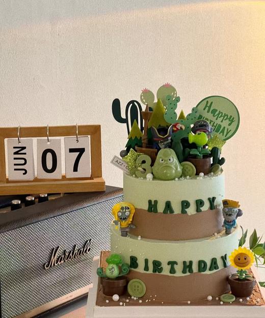 双层植物大战僵尸 商品图0