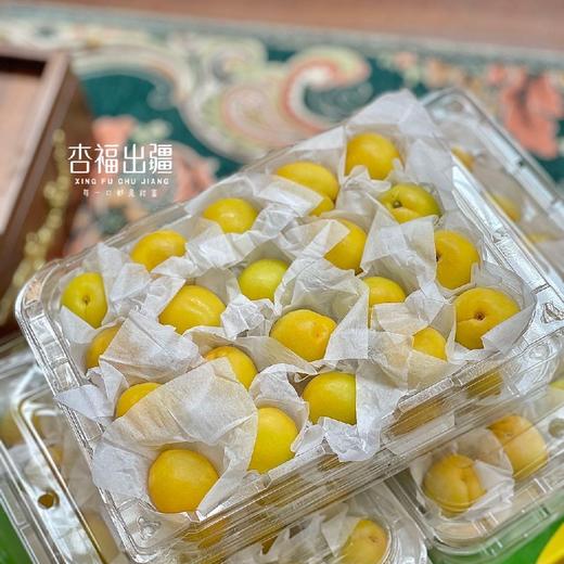 新疆小白杏 商品图5