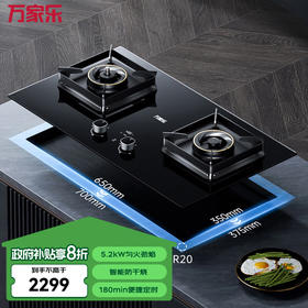 万家乐嵌入燃气灶 钢化玻璃 智能定时关火 智能防干烧 易清洁 高效猛火 5.2kw燃气灶（天然气）JZT-Z5G1