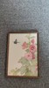 催静伊  花卉三（23*32） 商品缩略图0