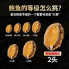 臻选2头鲍黑松露鲍汁鲍鱼营养美味拌饭捞面220g/8盒 商品缩略图1