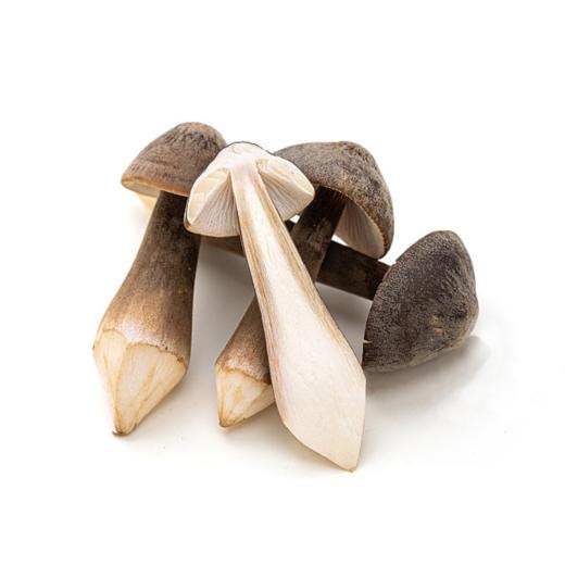 林端上品 鲜制云南鸡枞菌 商品图0