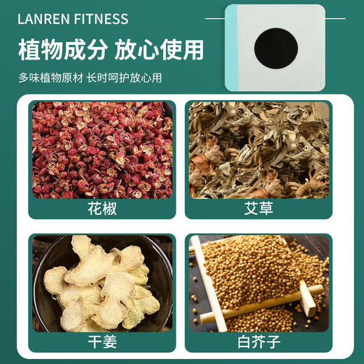 南京同仁堂艾草三伏贴5盒装 商品图3