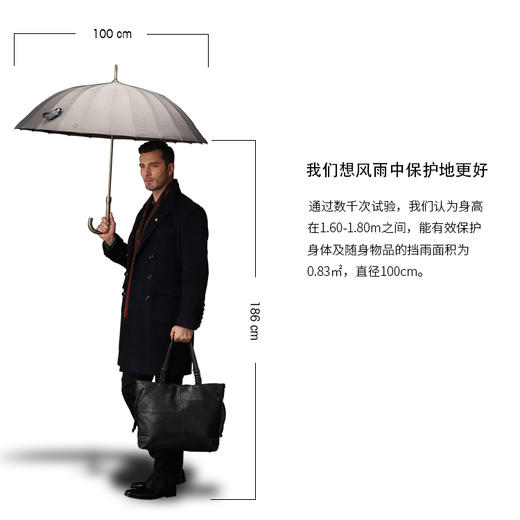 夏洛克 24骨直骨自动抗风男士经典伞 商品图3