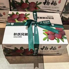 珍品东魁杨梅4斤装 2kg/箱