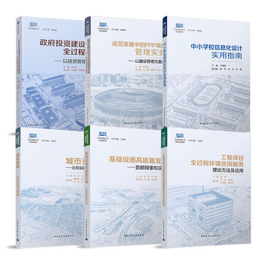 （任选）北咨咨询丛书 商品图0