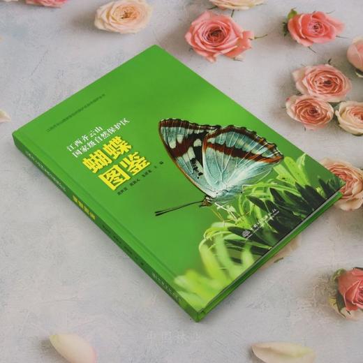 江西齐云山国家级自然保护区蝴蝶图鉴 &3118 商品图2