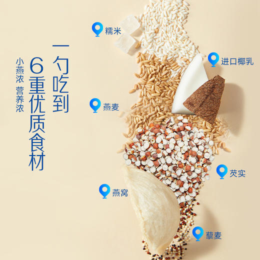 小燕浓·厚椰乳芡实燕窝粥（箱/6盒） 商品图2