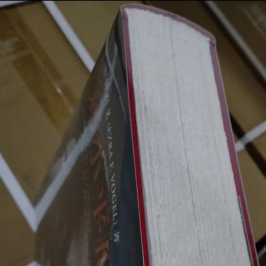 毛边版|邓小平时代 16开大精装本 傅高义著 深入分析了邓小平个人执政风格及其开创的时代 三联书店旗舰店 商品图1