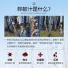 林源春100%白桦树原汁 商品缩略图6