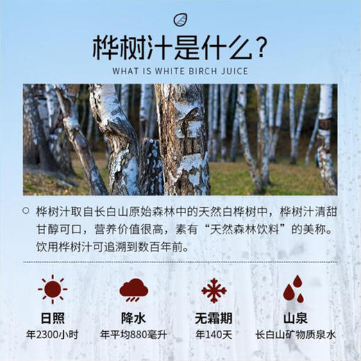林源春100%白桦树原汁 商品图6