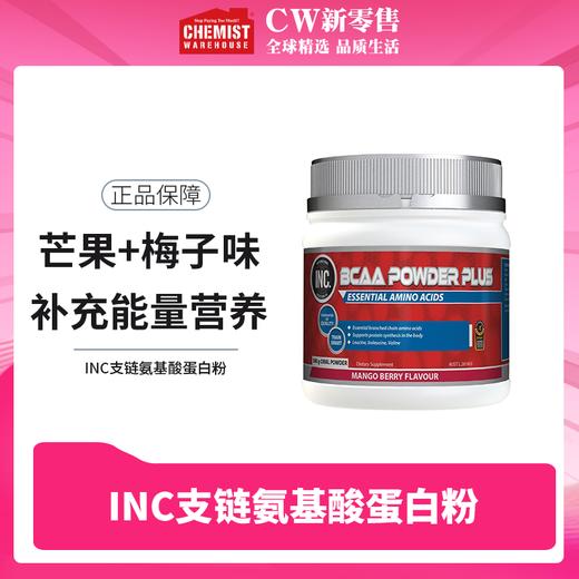 INC支链氨基酸芒果+梅子味蛋白粉500g 商品图0