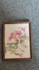 催静伊  花卉二（17*23） 商品缩略图0