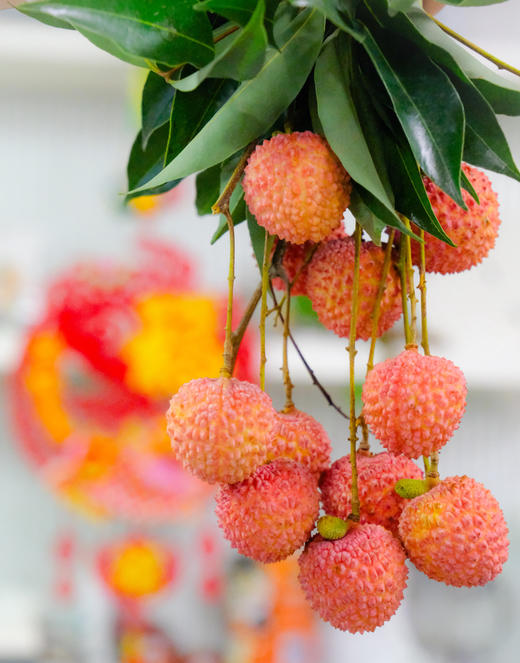 【广东省内】果园桂味荔枝5斤装 商品图2