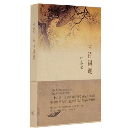 【毛边版】古诗词课  叶嘉莹  著  全面讲解中国古诗词  修养进阶读物  三联书店旗舰店 商品图1