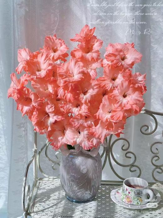 剑兰 | 卷边爱情 商品图0