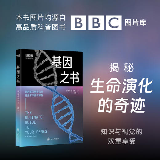 大脑之书 商品图3