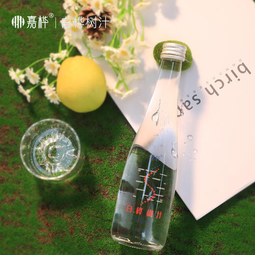 嘉桦白桦树汁原液饮品NFC原汁天然植物饮料0脂低卡0蔗糖320ML*6瓶 商品图1