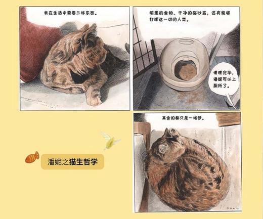 一只猫的存在主义思考（美）卡尔·史蒂文斯 著 商品图6