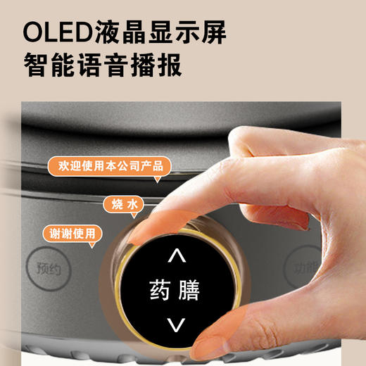 【纯钛材质 精炖养生】荣事达钛-养生壶煮茶壶电热水壶1.5L智能预约YSH08-15T 商品图2