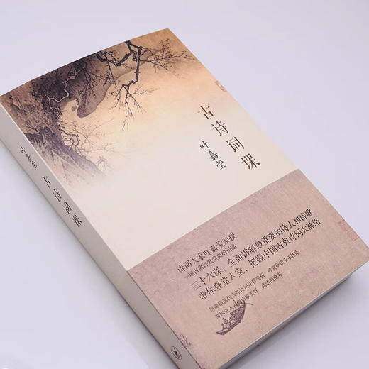 古诗词课 叶嘉莹 著 全面讲解中国古诗词  三联书店 商品图4