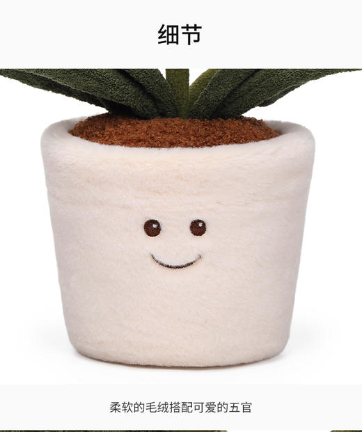 McHugs 芳菲兰花 商品图3