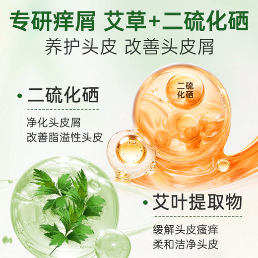 百年扁氏艾草止痒头皮素 商品图2