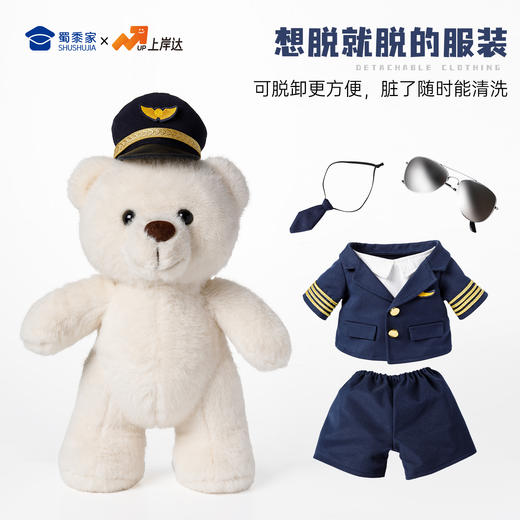 【机长&空姐站姿熊】可定制创意毛绒职业小熊公仔儿童玩具服装可脱送礼礼物 商品图4