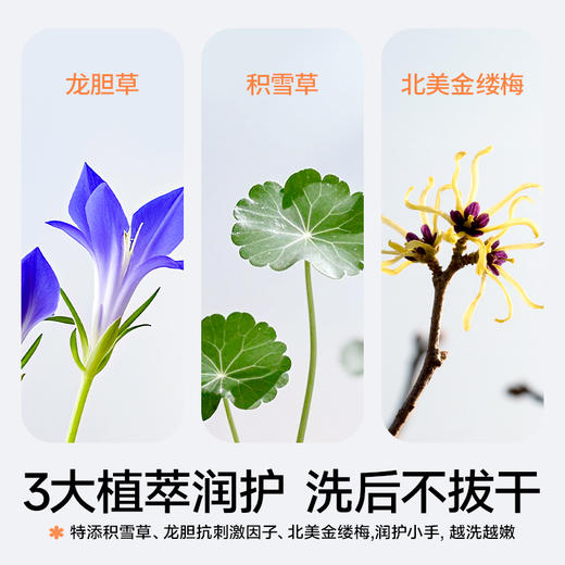 【秒杀品】海龟爸爸云柔泡泡洗手液200ml | 温和清洁不伤手、绵密泡沫易冲洗、洗后水润不紧绷 商品图2