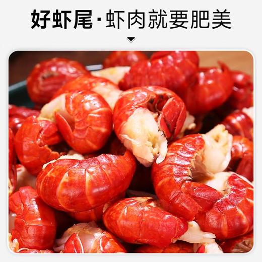 【冷冻】喵小渔 冷冻龙虾尾 300g/袋 商品图4