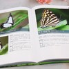 江西齐云山国家级自然保护区蝴蝶图鉴 &3118 商品缩略图3