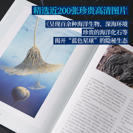 《到深海去》百余种海洋生物影像 自然史、海洋生物学、古动物学爱好之书 国家地理官方正版-分销 商品图3