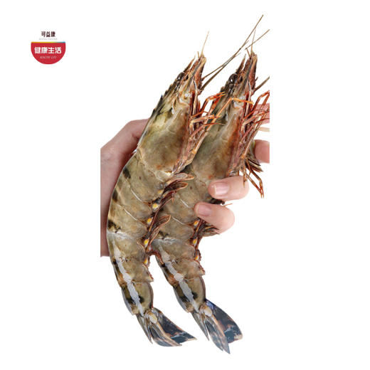 优选|印度黑虎虾 出水锁鲜 个大皮薄 肉质肥美紧实  900g 商品图0