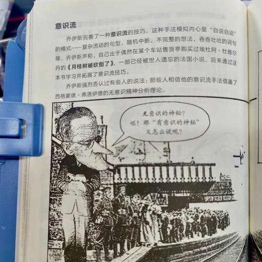 乔伊斯 图画通识丛书 《尤利西斯》《芬尼根守灵夜》作家乔伊斯不同凡响的生平与作品 三联书店旗舰店 商品图3