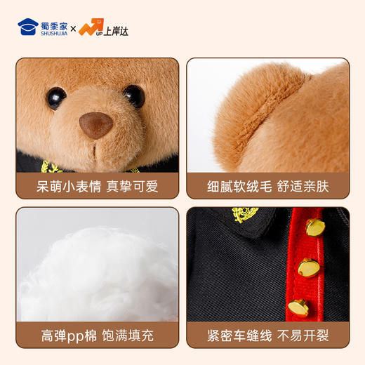 【法官站姿熊】可定制创意毛绒职业小熊公仔儿童玩具服装可脱送礼礼物 商品图6