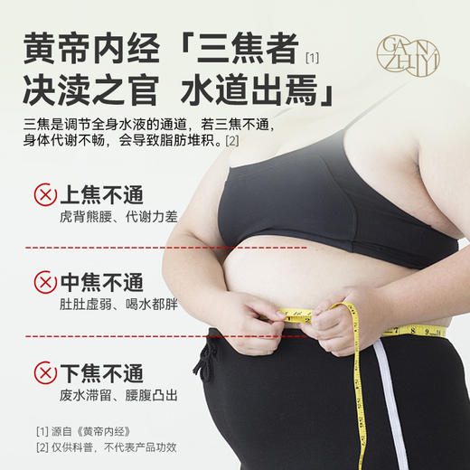 甘之颐 泽泻贴 大腹皮贴 轻盈贴 草本植萃贴 泽泄茯苓配穴贴敷亲服渗透 4贴/袋*4袋/盒 商品图1